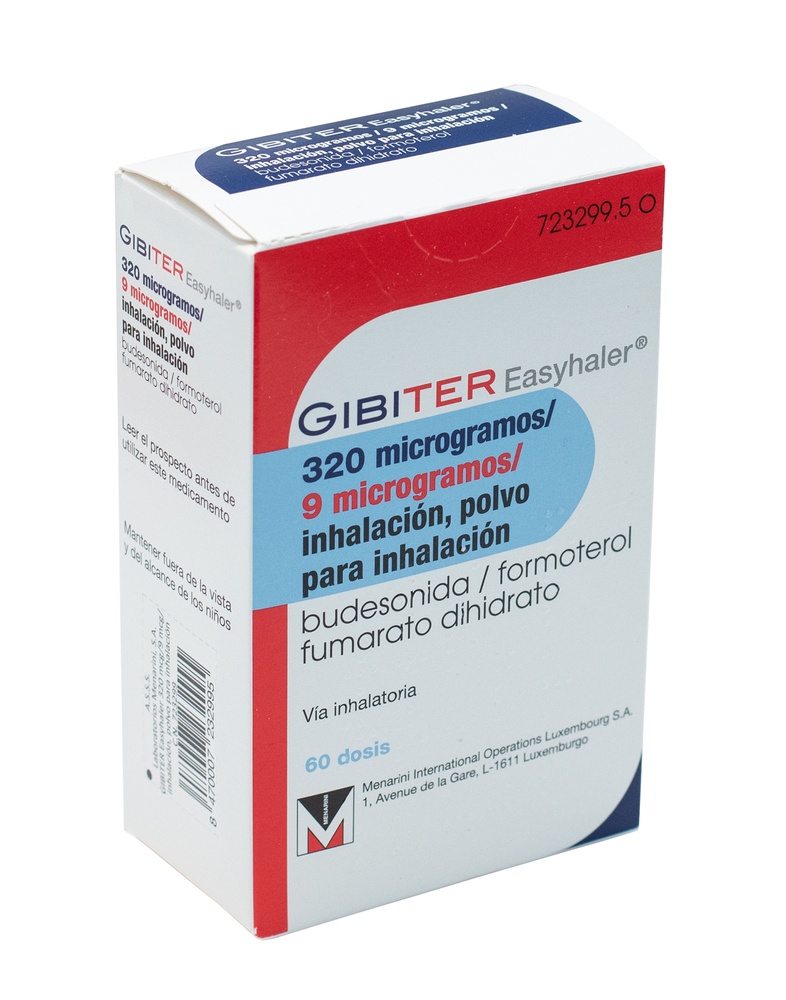 GIBITER EASYHALER 320 microgramas/9 microgramas pó para inalação
