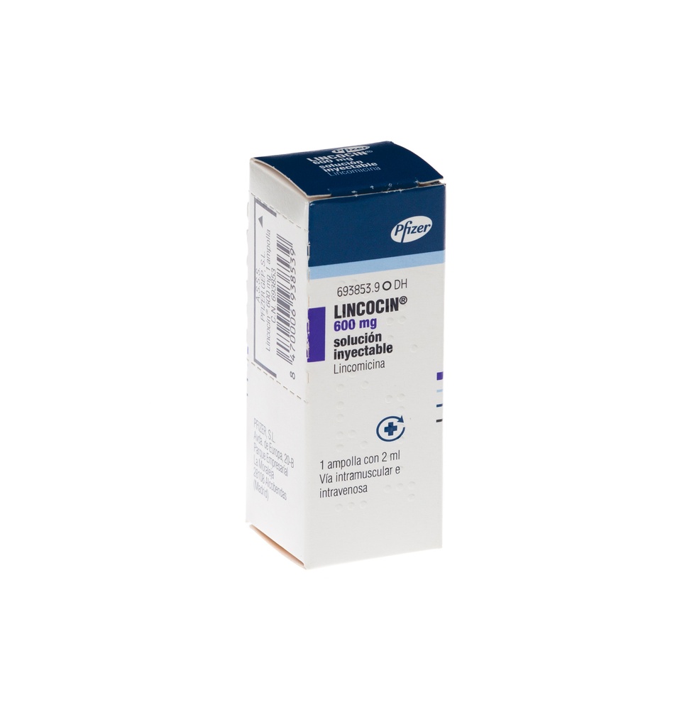 LINCOCIN 600 mg INJETÁVEL