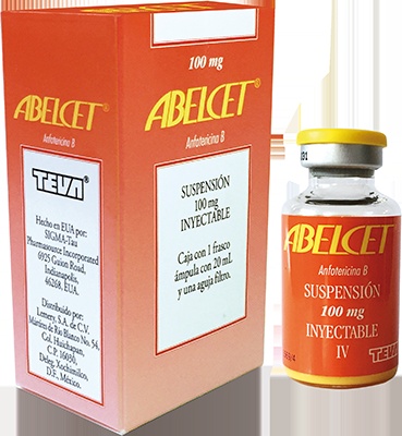 ABELCET COMPLEXO LIPÍDICO 5 mg/ml CONCENTRADO PARA DISPERSÃO PARA PERFUSÃO