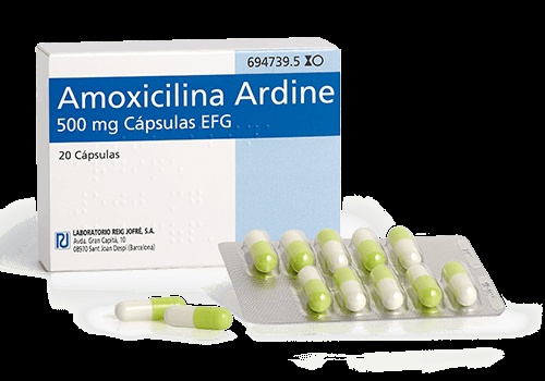 AMOXICILINA ARDINE 500 mg CÁPSULAS DURAS