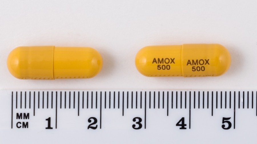 AMOXICILINA REIWA HEALTHCARE 500 mg CÁPSULAS DURAS