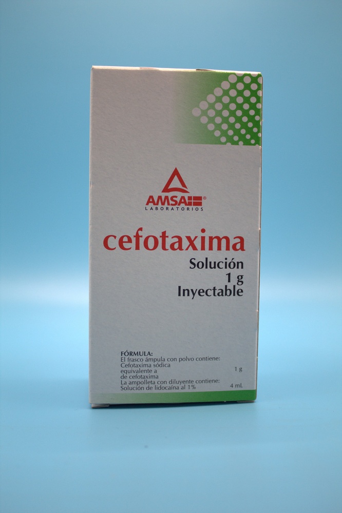 CEFOTAXIMA SALA 1g PÓ PARA SOLUÇÃO INJETÁVEL