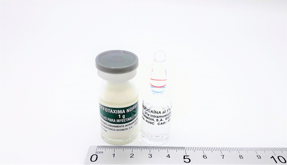 CEFOTAXIMA TORLAN 2000 mg PÓ PARA SOLUÇÃO INJETÁVEL E PARA PERFUSÃO
