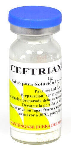 CEFTRIAXONA REIG JOFRE 1g PÓ E SOLUÇÃO PARA SOLUÇÃO INJETÁVEL INTRAMUSCULAR