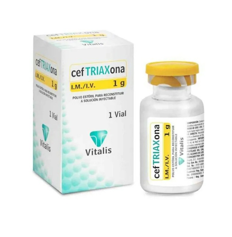 CEFTRIAXONA SALA 1 g PÓ PARA SOLUÇÃO INJETÁVEL E PARA PERFUSÃO