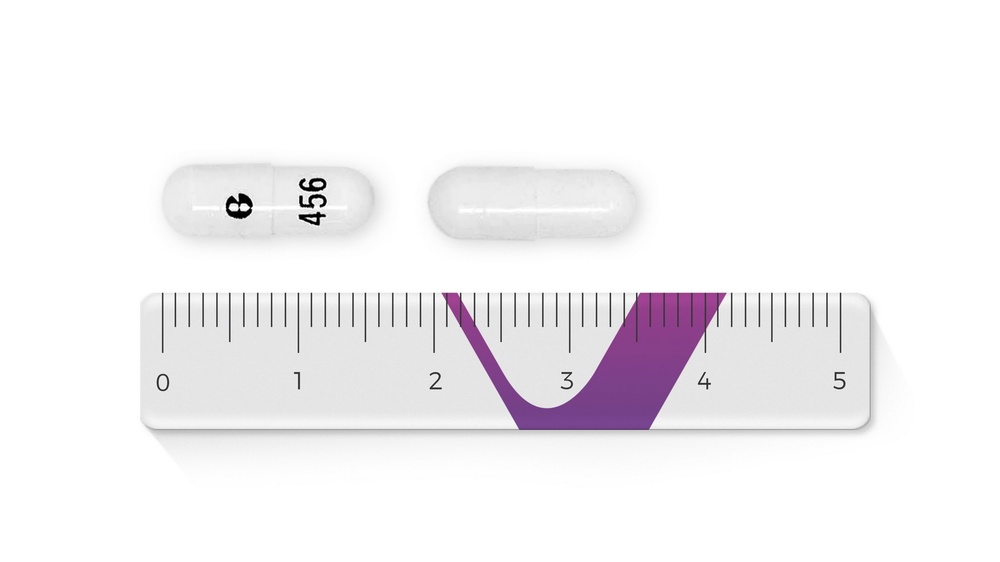 GABAPENTINA VISO FARMACEUTICA 100 mg CÁPSULAS DURAS