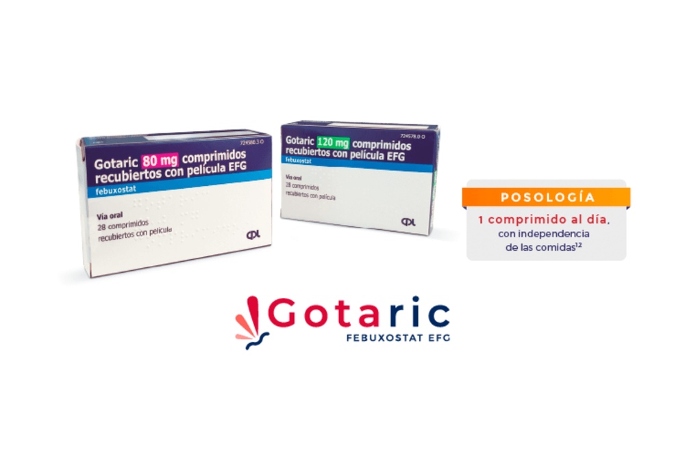 GOTARIC 120 mg COMPRIMIDOS REVESTIDOS POR PELÍCULA