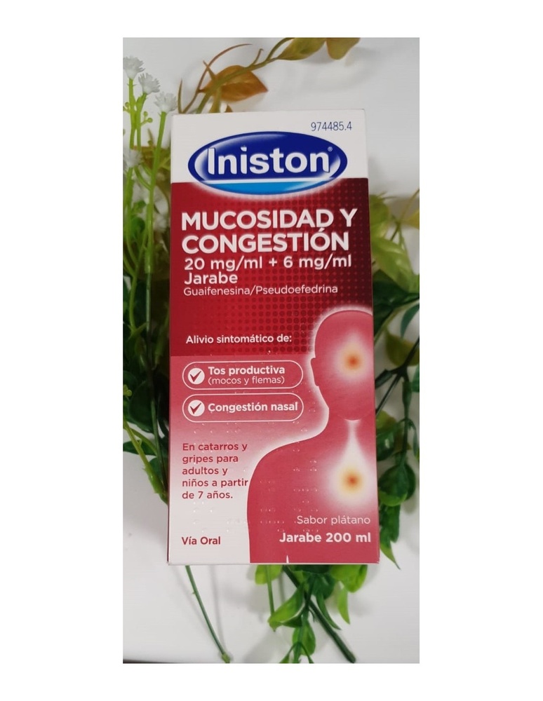 INISTON MUCOSIDADE E CONGESTÃO 20 mg/ml + 6 mg/ml XAROPE