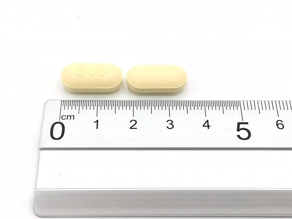 LEVETIRACETAM TEVA 500 mg COMPRIMIDOS REVESTIDOS POR PELÍCULA