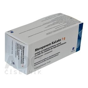MEROPENEM KALCEKS 1 g PÓ PARA SOLUÇÃO INJETÁVEL E PARA PERFUSÃO
