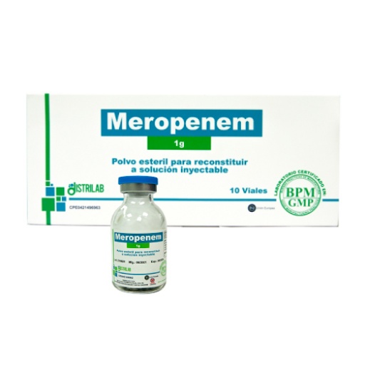 MEROPENEM SUN 1g PÓ PARA SOLUÇÃO INJETÁVEL E PARA PERFUSÃO